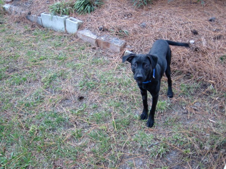 133109_469996143239_583823239_5853093_4855474_o