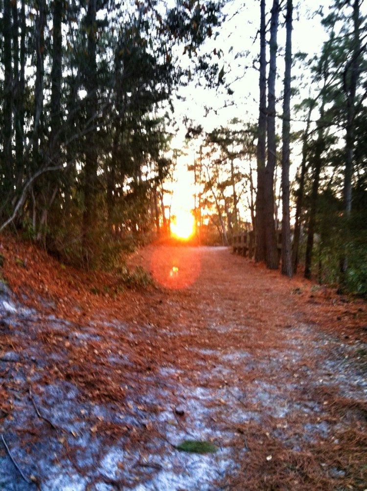 Setting Sun at mile 5