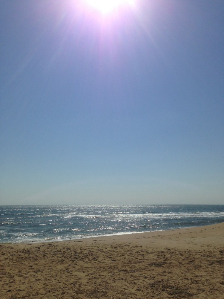 Part of my work day - for this I am grateful