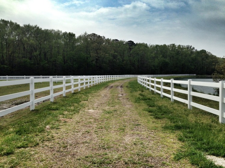 Run beside horse pastures